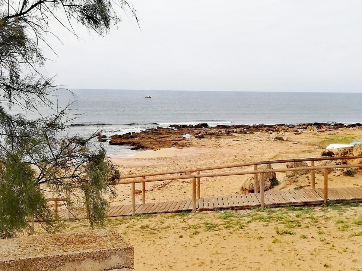 Casa Vacanze Lisa Torre Ovo Zewnętrze zdjęcie