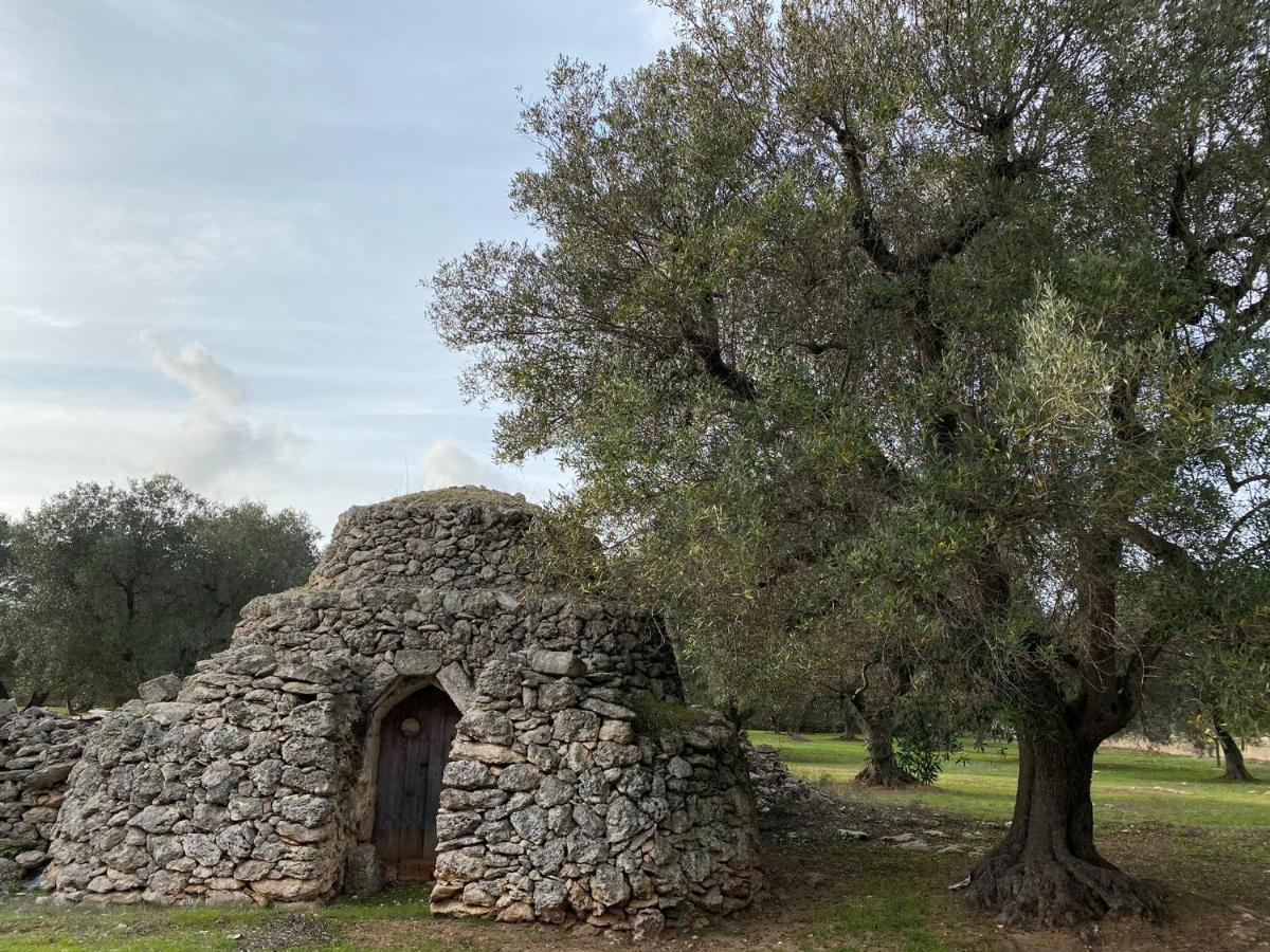 Casa Vacanze Lisa Torre Ovo Zewnętrze zdjęcie